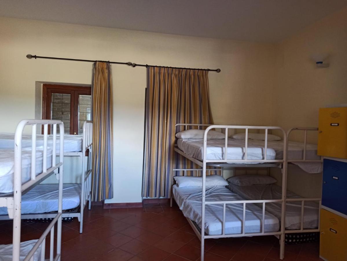 Albergue De Sos del Rey Católico Dış mekan fotoğraf