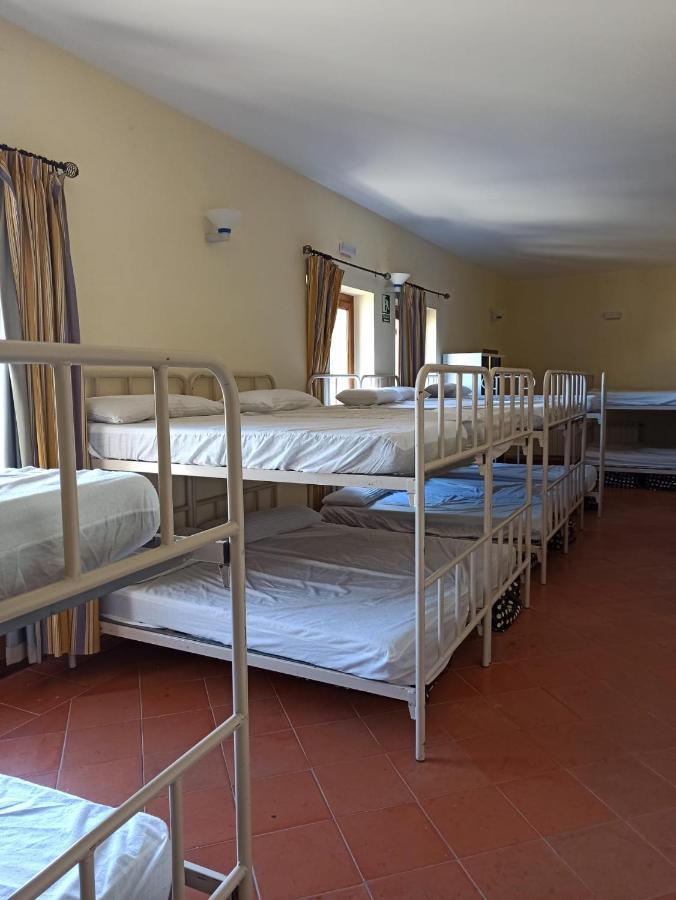 Albergue De Sos del Rey Católico Dış mekan fotoğraf