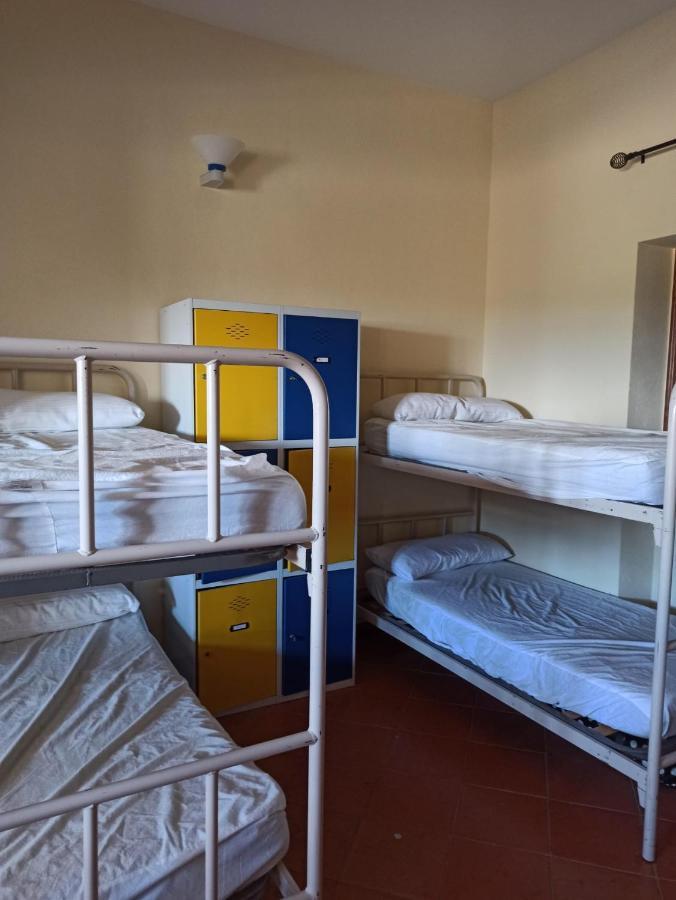 Albergue De Sos del Rey Católico Dış mekan fotoğraf