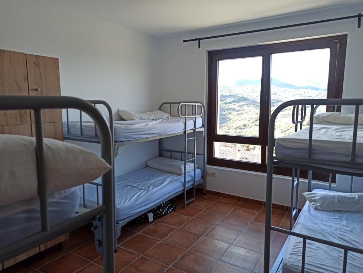Albergue De Sos del Rey Católico Dış mekan fotoğraf
